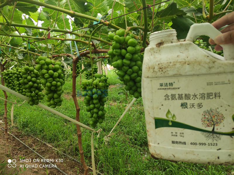 水溶肥怎么選？夫沃施告訴你這幾點(diǎn)