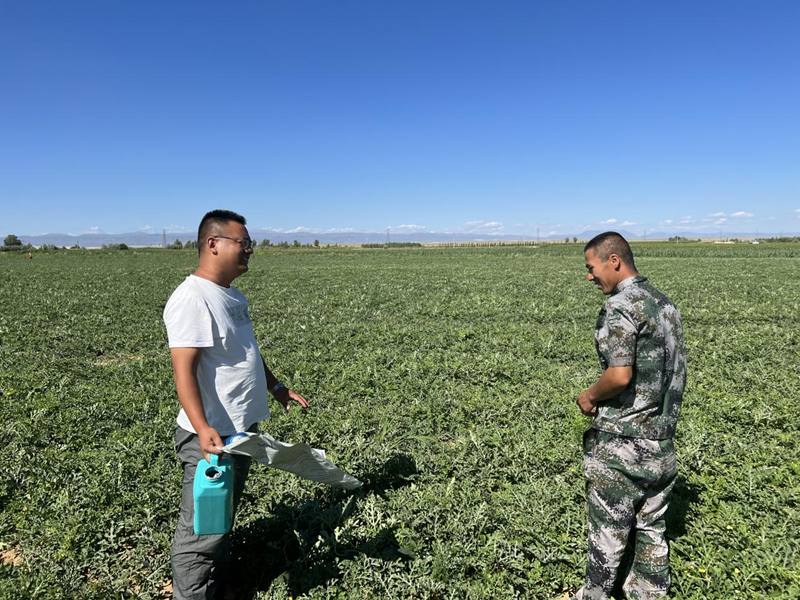 水溶肥好不好？用過才知道