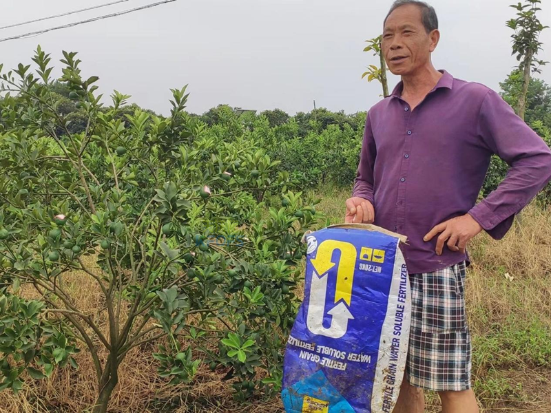 金桔樹(shù)用什么肥料最佳