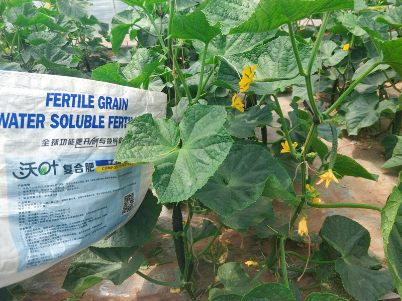 顆粒水溶肥有什么特點(diǎn)？