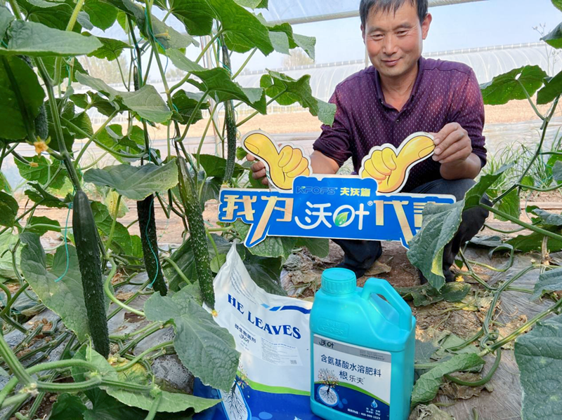 微生物菌劑越來越受歡迎的原因有哪些？