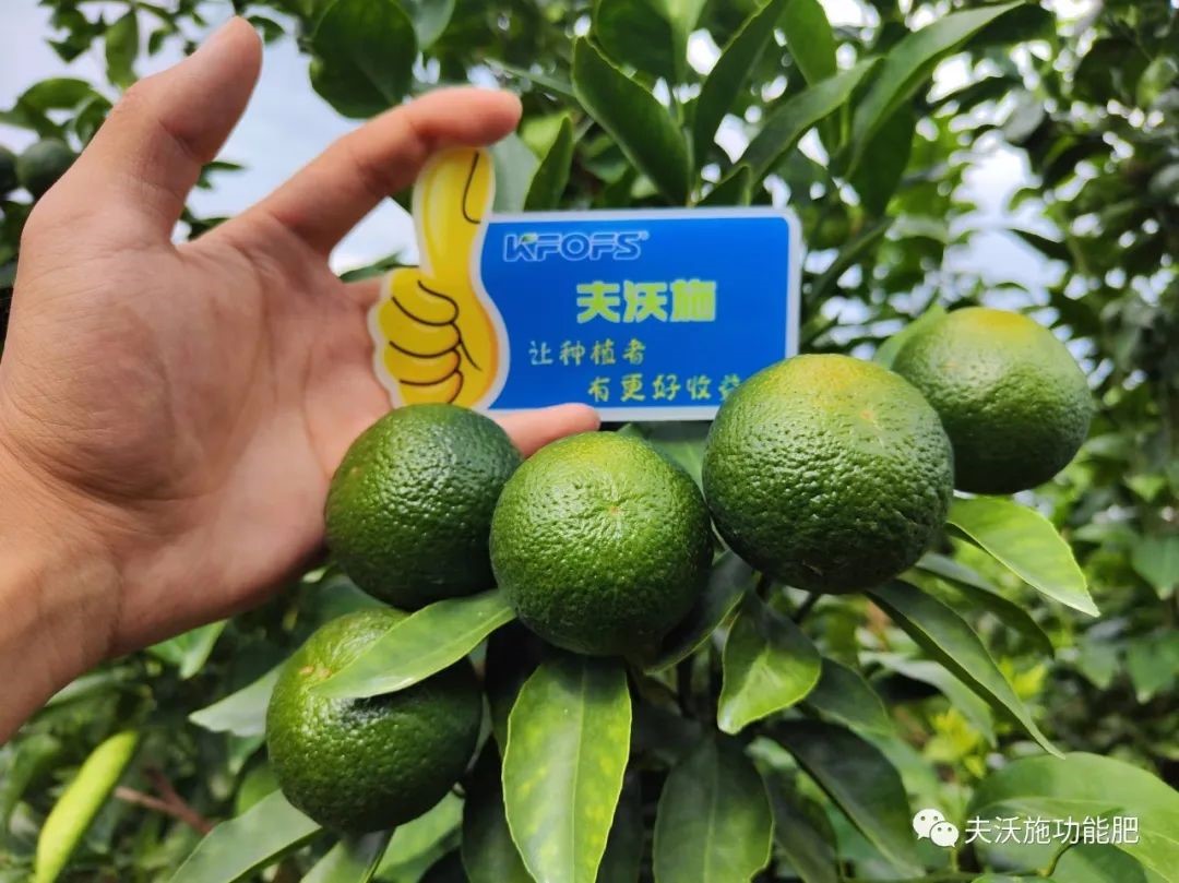 改善土壤板結用什么肥料？