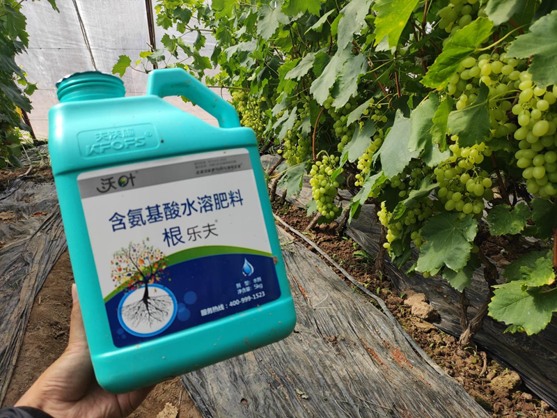 水溶肥選擇，要注意什么?