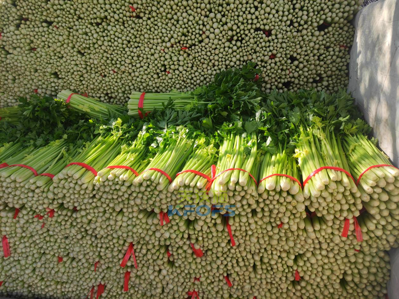 生根劑選哪款?他們認(rèn)可沃葉