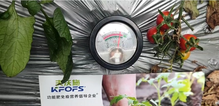 微生物菌劑，為什么被越來越多的人選擇？