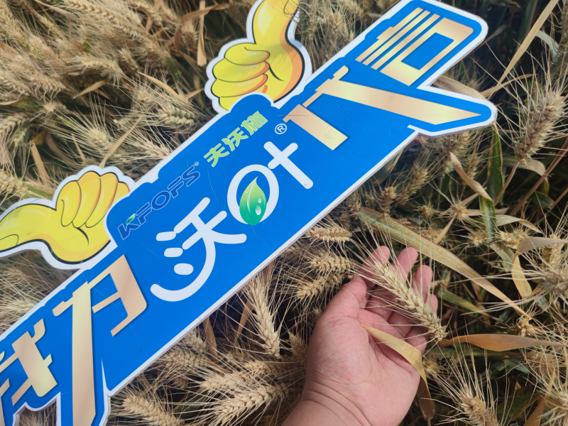 小麥施什么肥好？免疫營養(yǎng)葉面肥