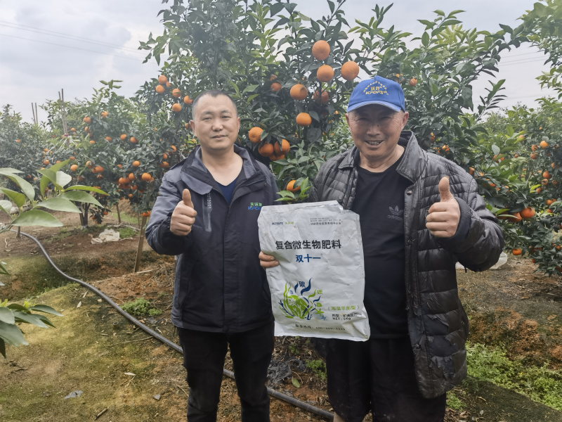 柑橘樹用什么肥料最佳？四川何大爺案例