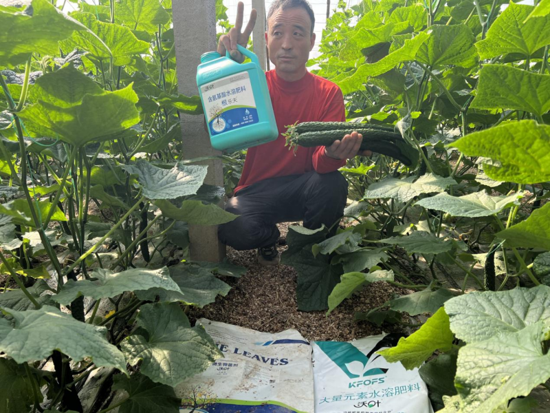 種植蔬菜用什么肥料最好？兩個解決，兩個方案