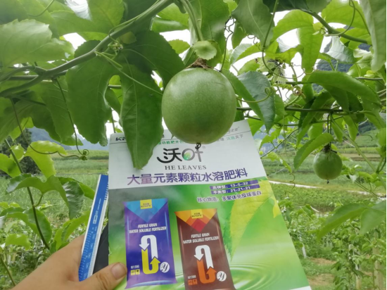 顆粒水溶肥品牌，跟著這樣選！