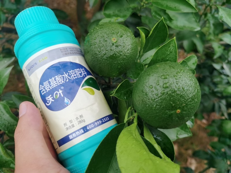 解密植物對(duì)氨基酸的吸收原理，夫沃施掌握氨基酸水溶肥核心科技