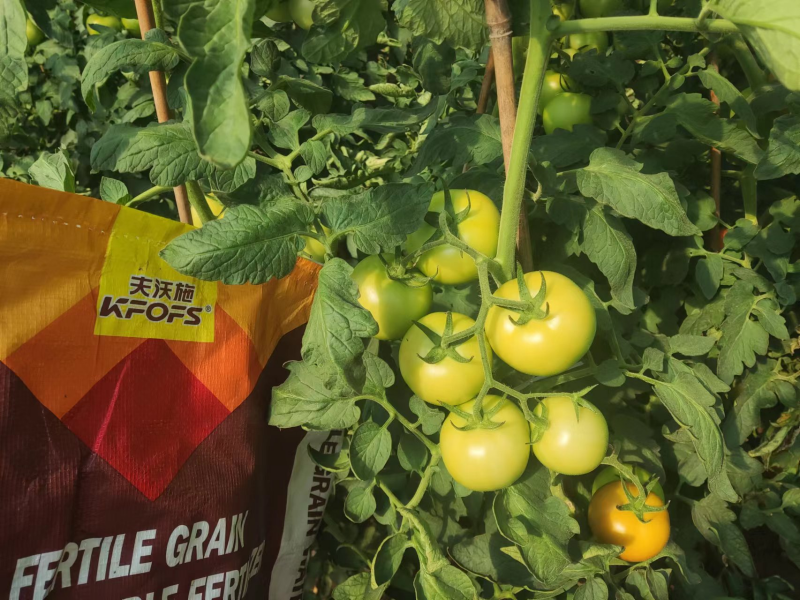 顆粒水溶肥效果怎么樣？