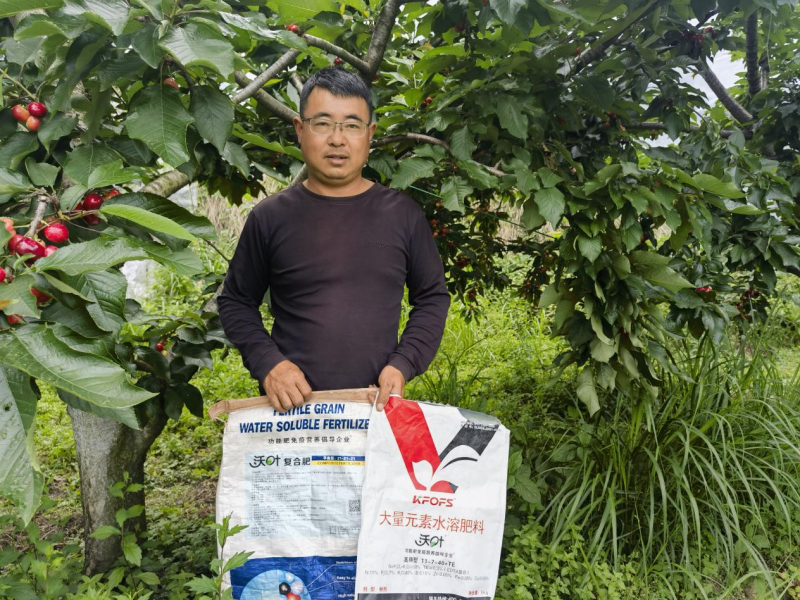 果樹(shù)栽培技術(shù)之怎樣施肥效果好?