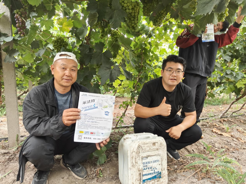 氨基酸肥料的作用你了解多少？