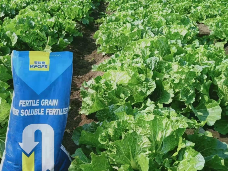 顆粒水溶肥哪家好？