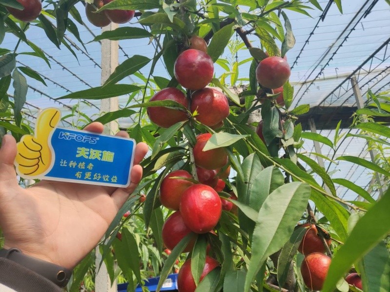 微生物菌劑的作用，你真的了解嗎？