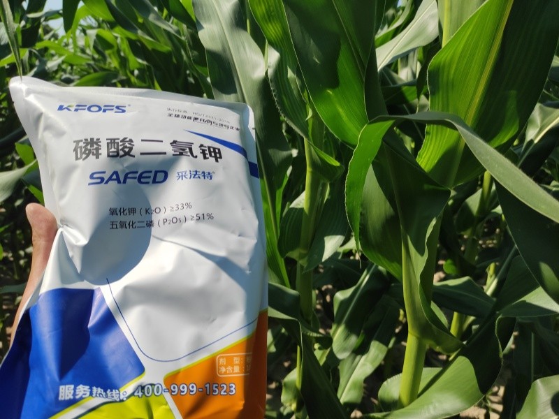 磷酸二氫鉀這樣選，錯(cuò)不了