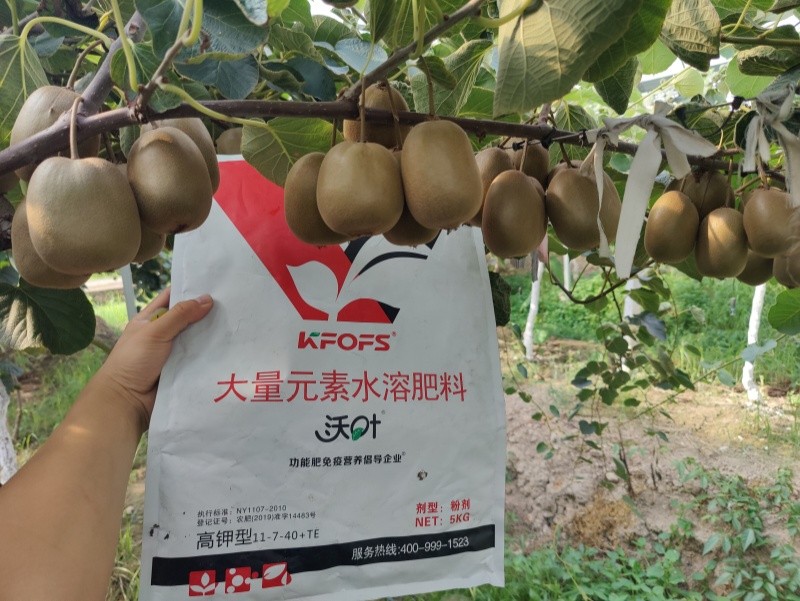 獼猴桃施肥用什么肥料？