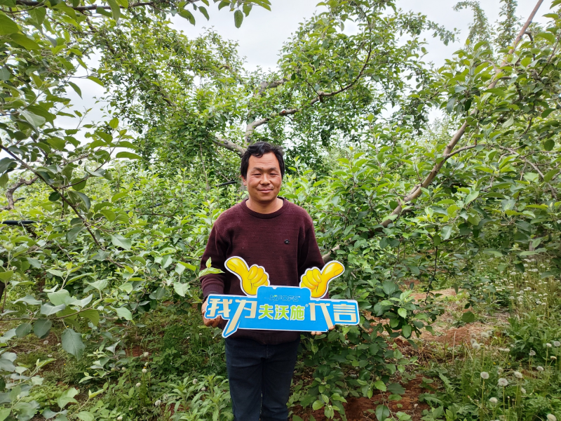 大量元素水溶肥怎么用效果好？