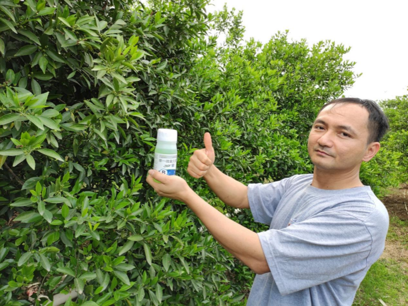 柑橘用什么肥料好？