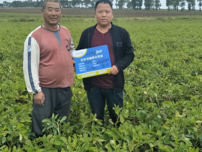 花生種植重茬、藥害問題解決方案