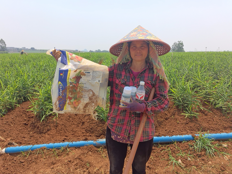 水溶肥哪家好？判斷標(biāo)準(zhǔn)“三看”