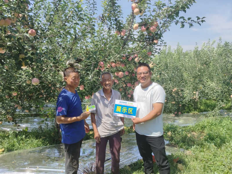 蘋(píng)果花葉病毒病怎么治?