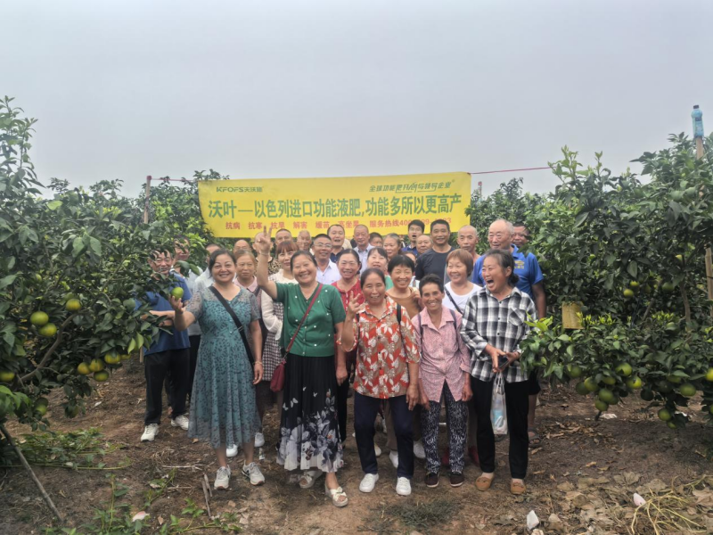 水溶肥和功能性水溶肥的區(qū)別 水溶肥和功能性水溶肥的區(qū)別