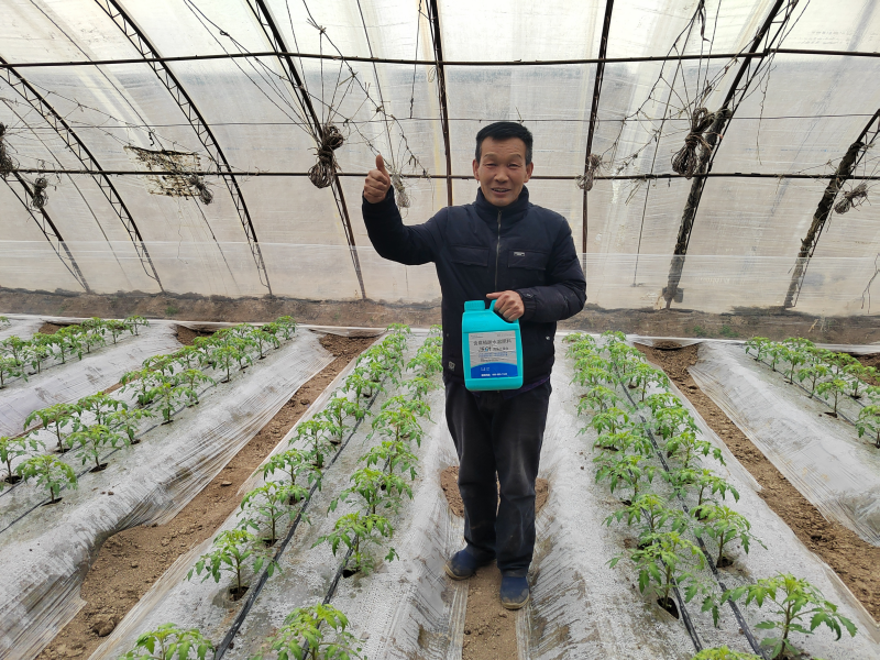 魚蛋白水溶肥的作用