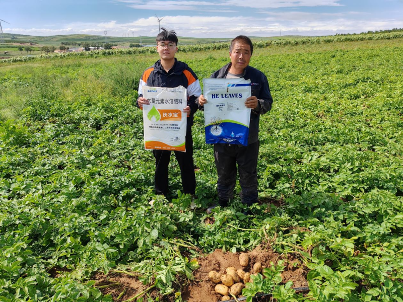 水溶肥-土豆用沃葉、沃水寶水溶肥.png