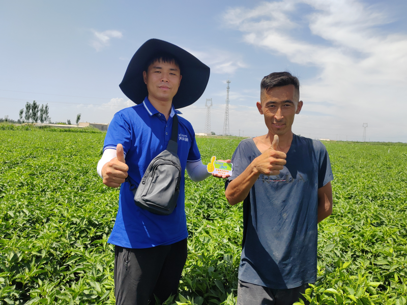 沖施肥的使用方法