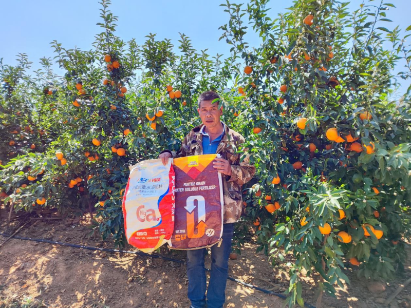 柑橘冬季施肥方法
