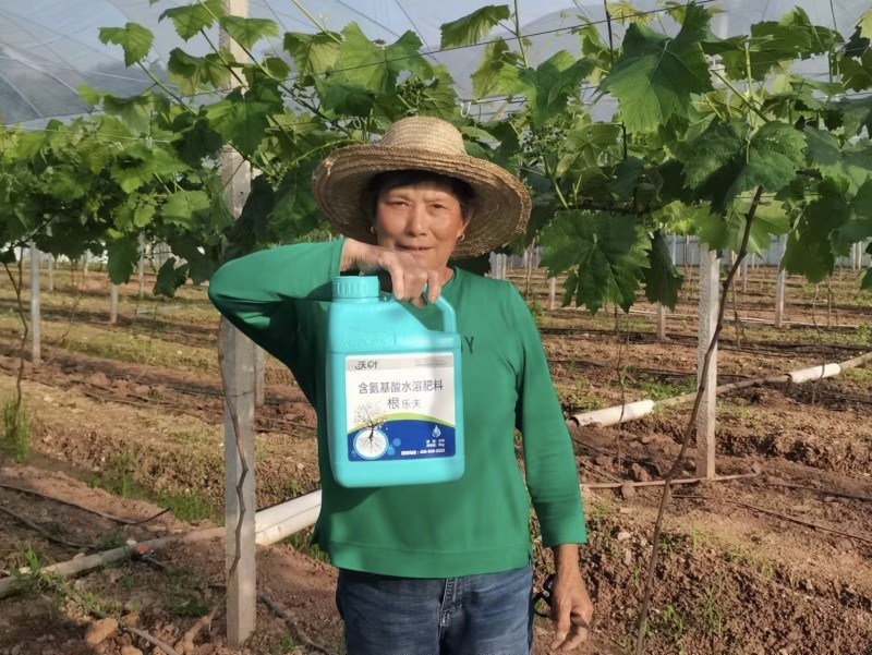 生根劑和生根粉的區(qū)別