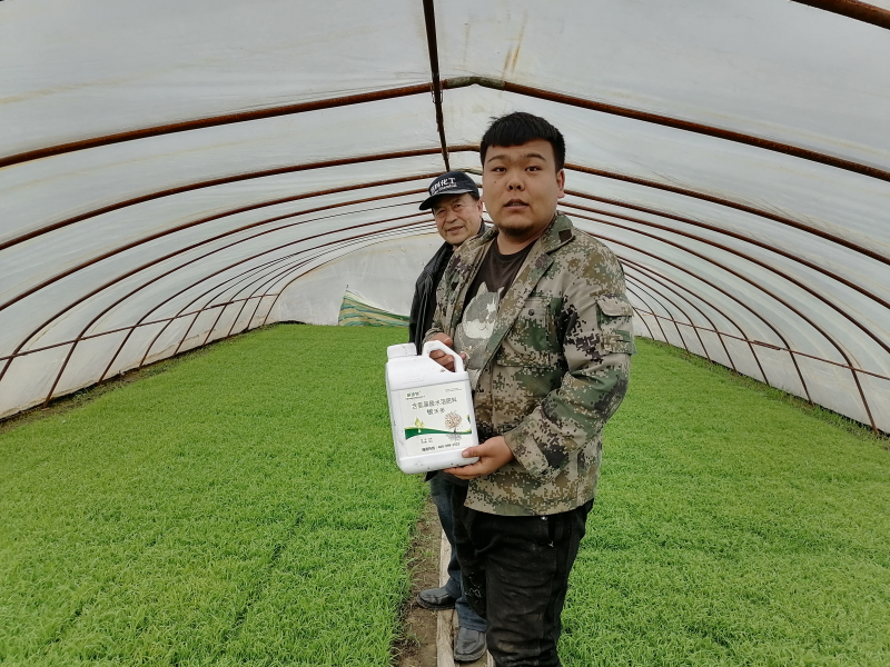 生根劑的主要成分是什么？