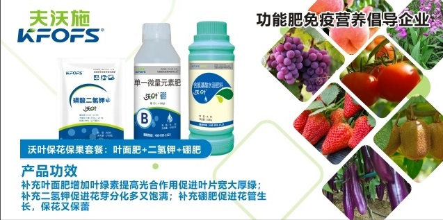 保花保果葉面肥