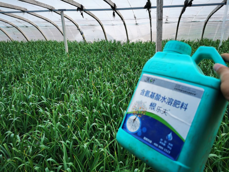 大蒜沖施肥用什么肥料好？