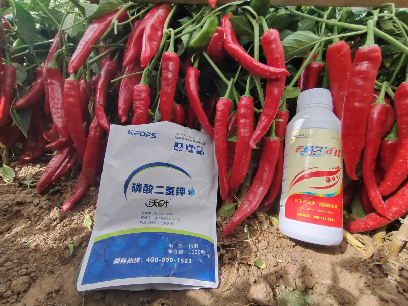 磷酸二氫鉀是葉面肥嗎？