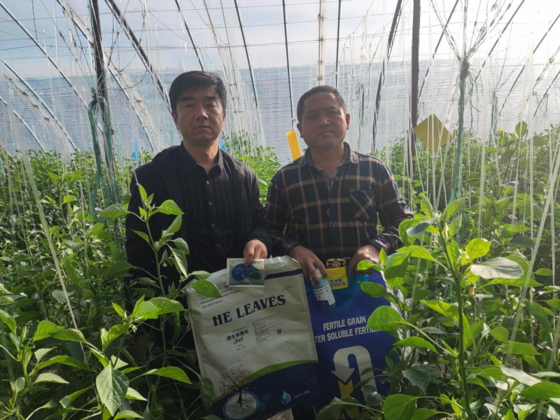 沖施肥的使用方法？經(jīng)驗分享