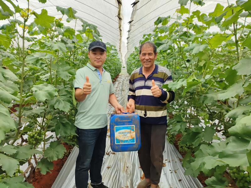 葡萄樹施什么肥—用戶見證.png