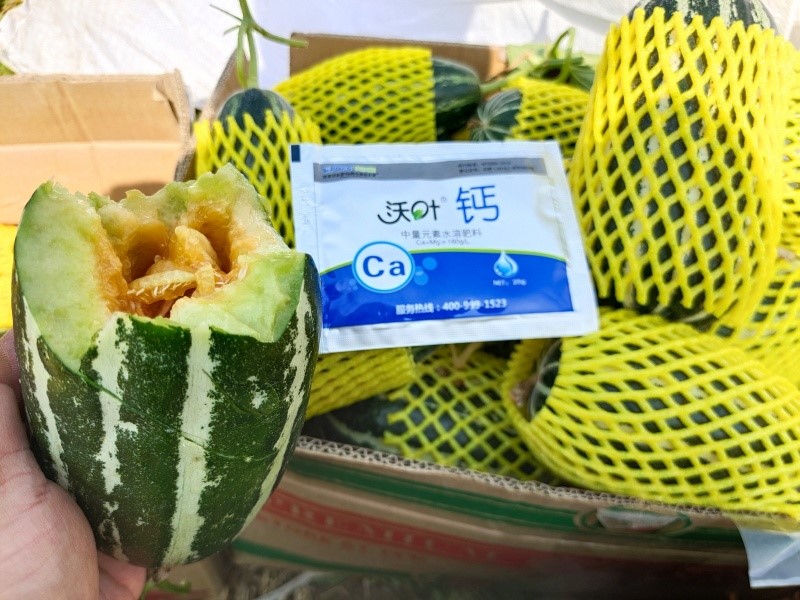 鈣肥這樣用，效果更好