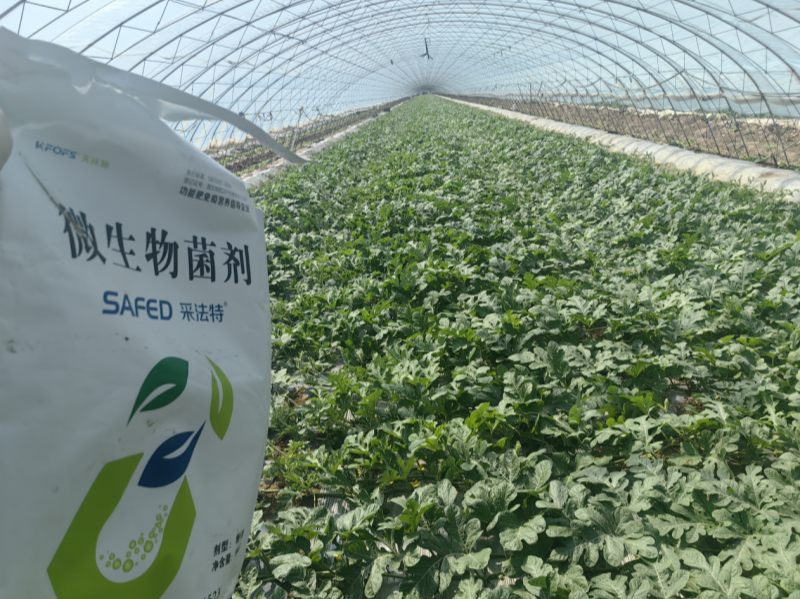 微生物菌劑有哪些？