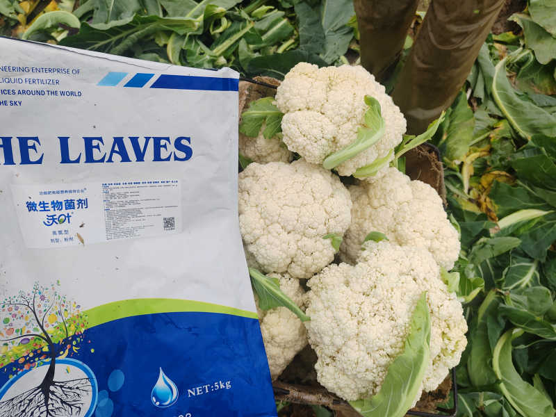 微生物菌肥的作用與使用方法