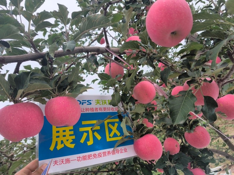 蘋(píng)果樹(shù)一年施肥列表