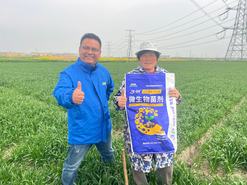 小麥春季追肥用什么肥料好-用戶見證.png