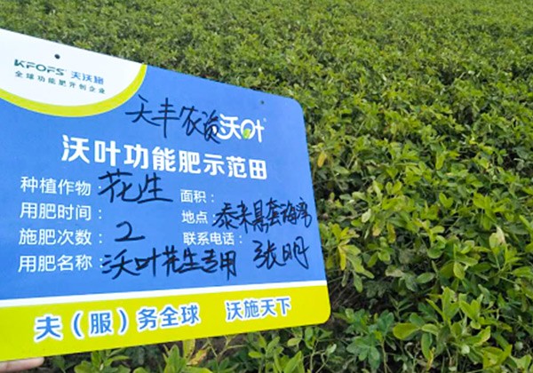 花生施肥全優(yōu)營(yíng)養(yǎng)方案-沃葉篇